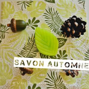 Atelier cosmétique enfants: fabrication Savon automne